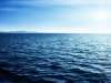 آیا اقیانوس های جهان در حال تهی شدن از اکسیژن هستند